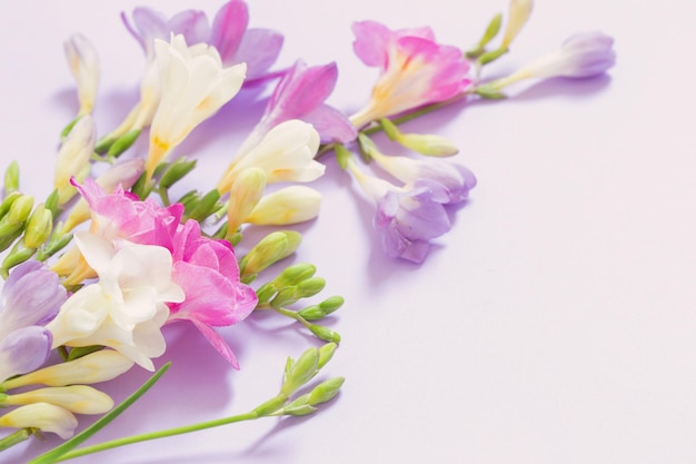 Pink white and purple flowers on white background