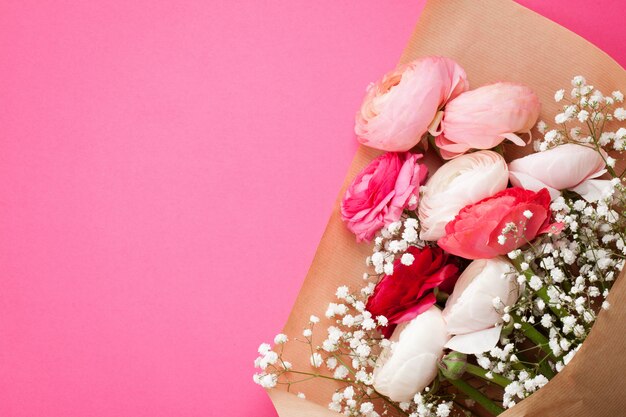 Pink and white ranunculus flowers on pink. 