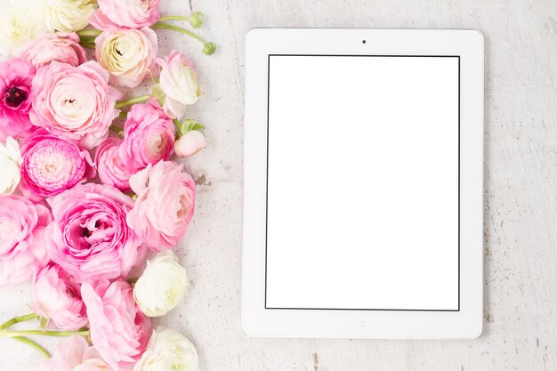 Pink and white ranunculus flowers on white wooden