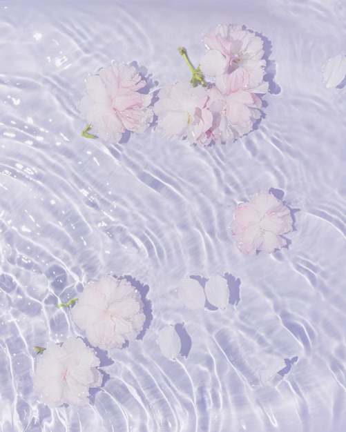 Photo pink and white rose flowers in water with pastel purple waves minimal flat lay nature background