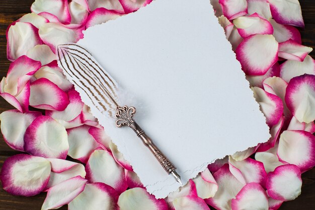 Foto petali di rose bianche e rosa e un foglio di carta e una vecchia penna stilografica