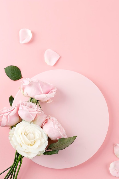 Pink and White Rose on Pink Background