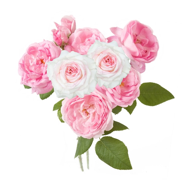 pink and white roses bunch