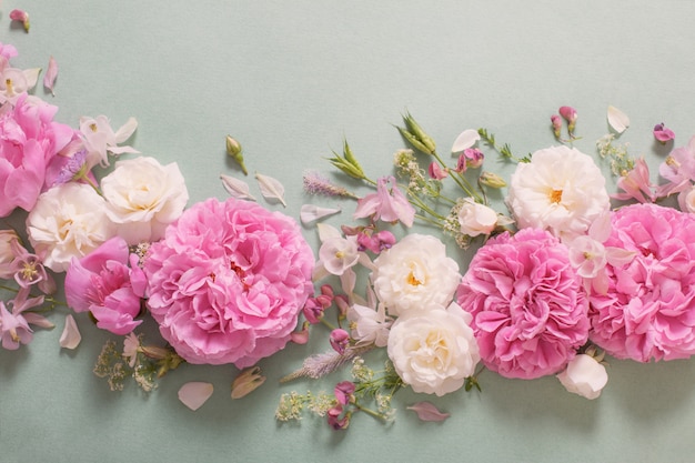 Pink and white roses on paper background