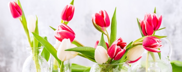 Pink and white tulips in glass vases