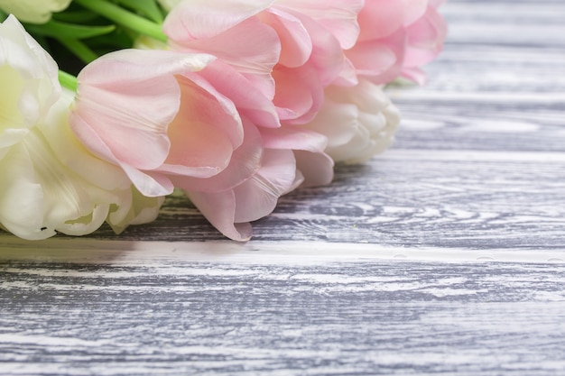 Розовые и белые очень нежные тюльпаны на белом, сером деревянном му