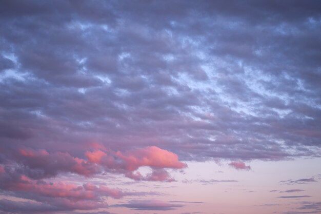 ピンクと青い夜の空