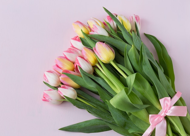 on a pink wooden background pink tulips with a pink tape