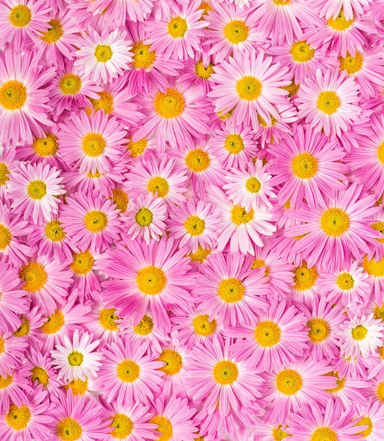 Pink and yellow flowers background