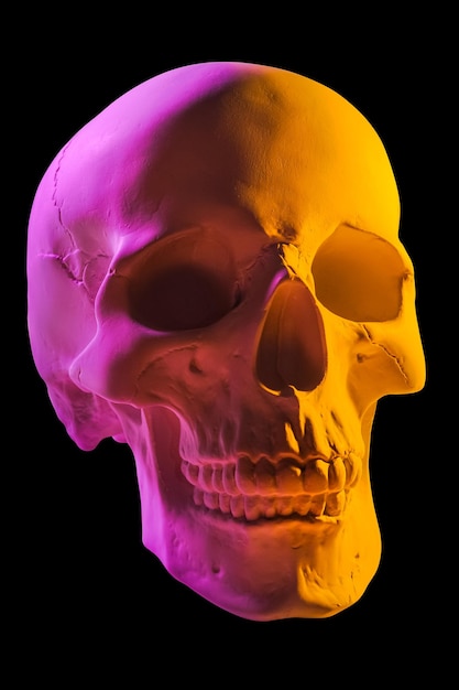 Foto cranio umano in gesso giallo rosa isolato su sfondo nero modello di teschio in gesso per studenti di scuole d'arte anatomia di scienze forensi e concetto di educazione artistica mockup per il disegno di progettazione