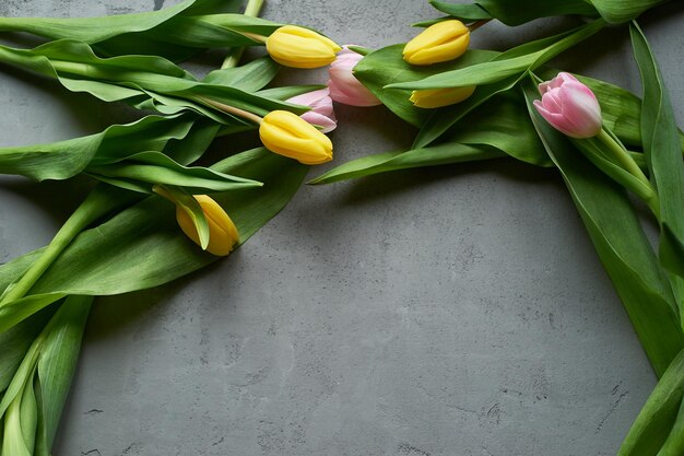 Pink and yellow tulips on a gray background under concreteThe view from the top place for text