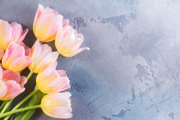 Pink and yellow tulips