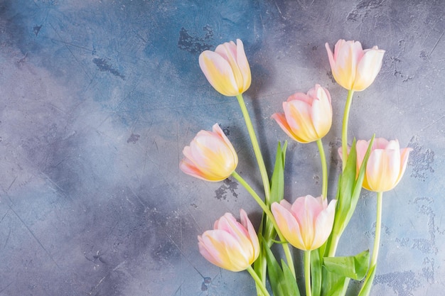 Pink and yellow tulips