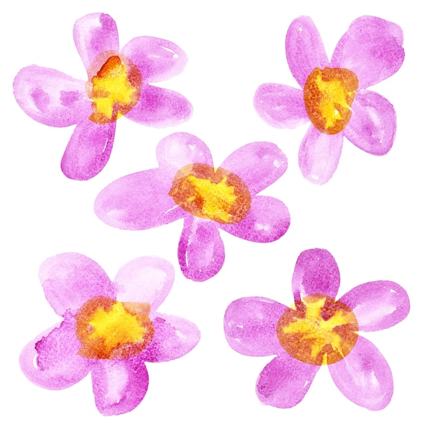 Pink - yellow watercolor flowers isolated over the white background