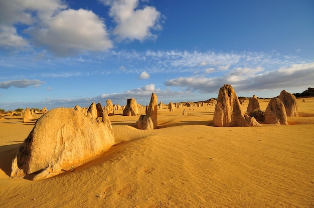 The Pinnacle Desert Western Australia