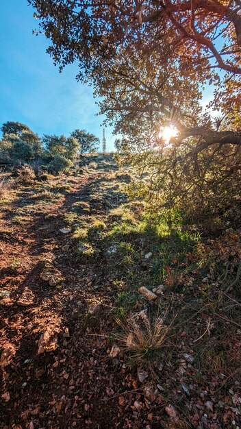 Foto all'apice escursioni in sierra de santa ana per ammirare la magnificenza di sorias dall'alto