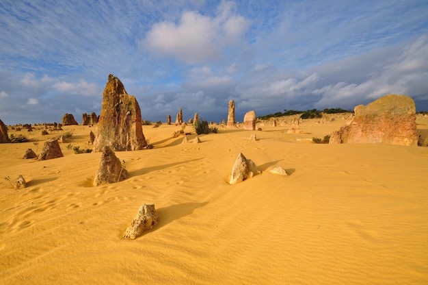 Pinnacles desert in Western Australia