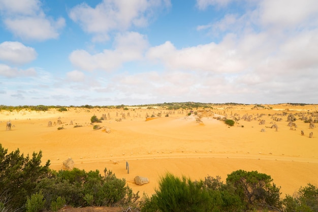 Pinnacles at Namburg National Park Cervantes Western Australia