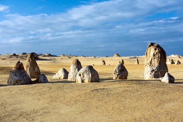 Pinnacles Park Desert View in West-Australië