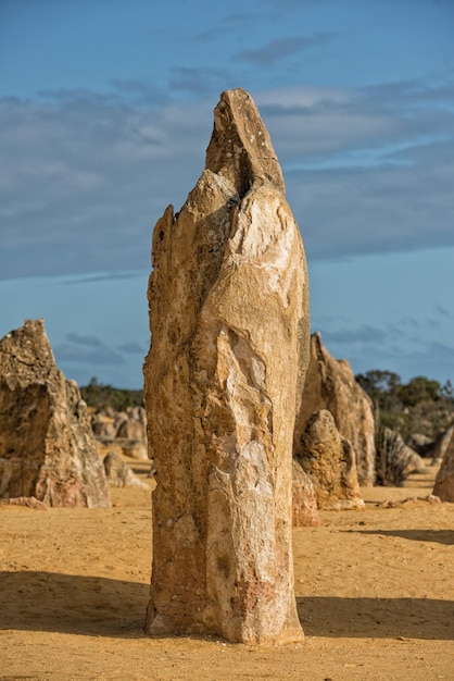 Pinnacles park in west australia