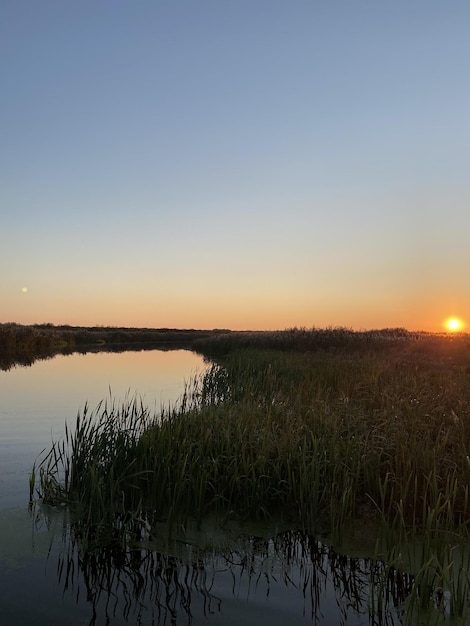 Photo pinsk marshes