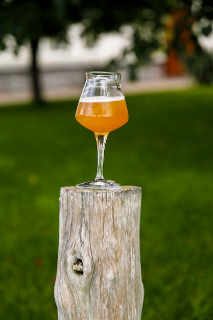 Pint beer lager on a wooden log in the pub beer garden pub. Vertical view.