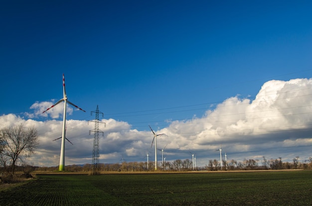 Pinwheels and electricity pylons