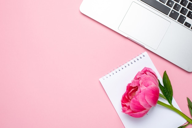 pioenroos bloem, laptop en notebook.