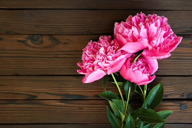 Pioenrozen bloemen op houten achtergrond