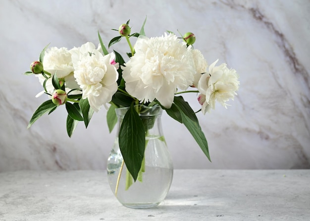 Pioenrozen in een vaas Stijlvolle witte pioenrozen in de handen van een bloemist Het bloemistenmeisje verzamelde een boeket Witte lentebloemen snoeien Een cadeau voor de vakantie Verse bloemen