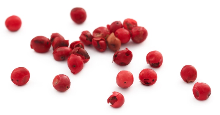 Piper nigrum of zwarte peper, peperkorrels op witte achtergrond