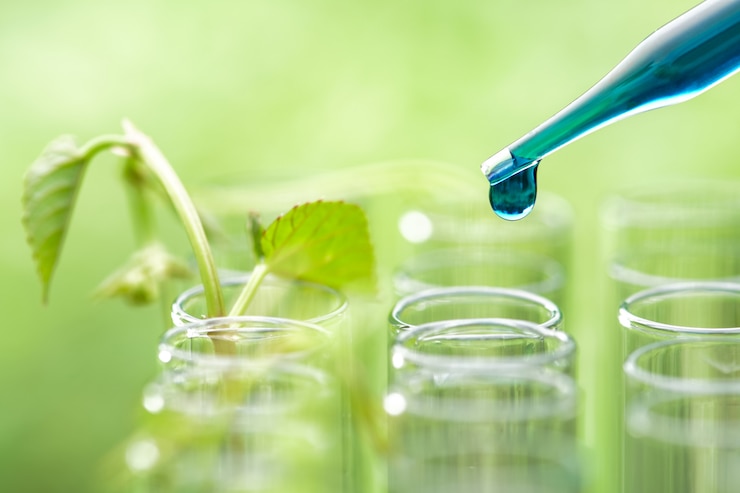 Photo pipette dropping blue sample chemical  over young sample plant growing in test tube , biotechnology research concept