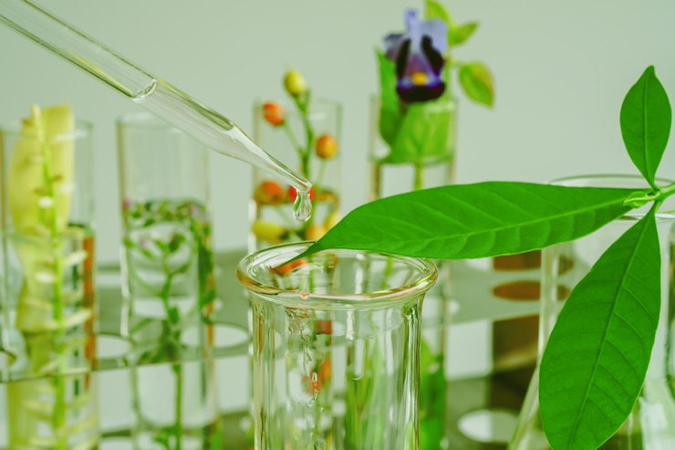 Photo pipette dropping above test tube on sample chemical into herbal plants