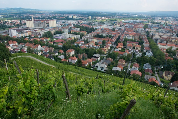 Foto collina piramida a maribor