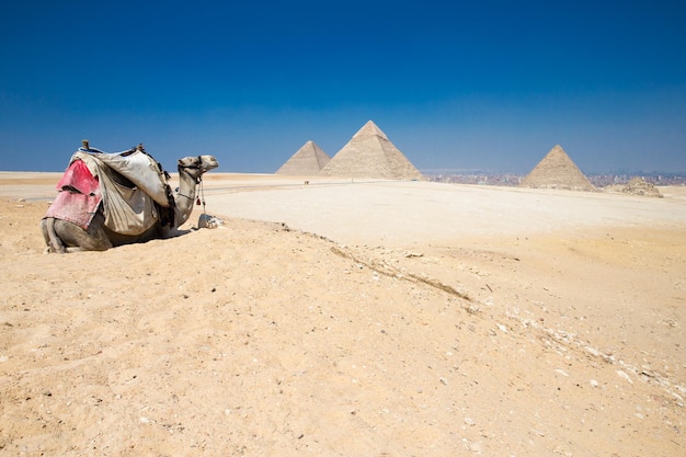 Piramides met een prachtige lucht van Gizeh in Caïro, Egypte