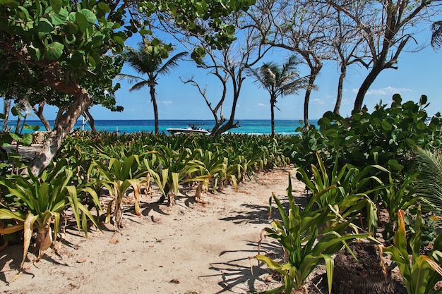 Pirate island in Rosario nature reserve in Caribbean sea close Cartagena, Colombia