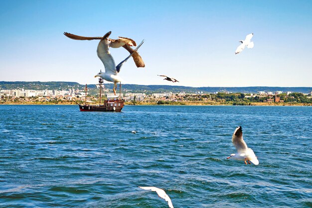 Pirate ship at the open sea