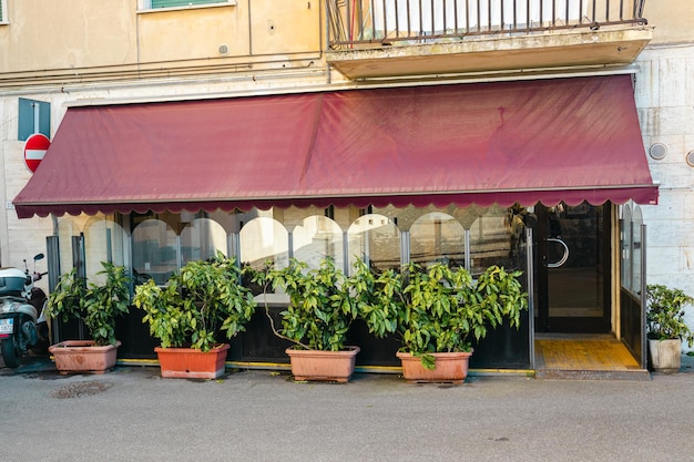 Foto pisa italië 18 maart 2022 oude huizen in pisa toscane italië mooie italiaanse straat van de oude provinciestad straat versierd met bloemen en planten in potten straatbeeld en gevel