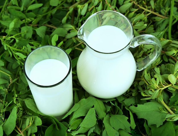 Pitcher and glass of milk on grass