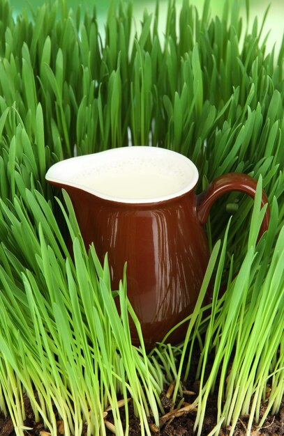 Pitcher of milk standing on grass close up