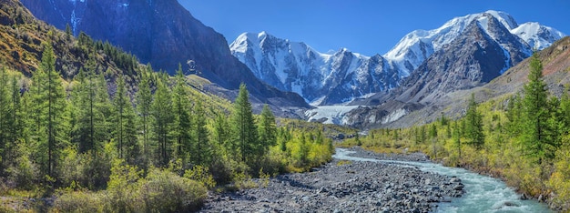 Pittoresk berglandschap Altai Rusland-kloof met een bergrivier