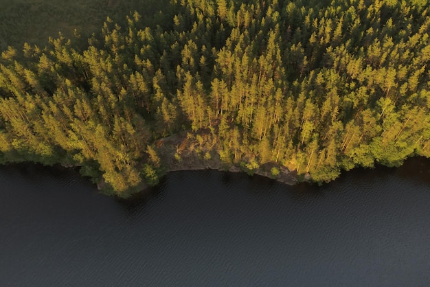 Pittoresk bovenaanzicht op de beboste oever van het meer De bomen worden verlicht door de ondergaande zon