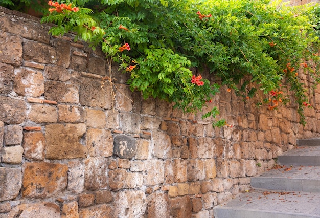 Pittoresk gebouw in de middeleeuwse stad in Toscane, Italië Oude stenen muren en planten