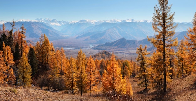 Pittoresk panoramisch herfstzicht op de bergvallei