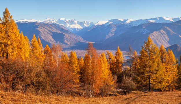 Pittoresk panoramisch herfstzicht op de bergvallei