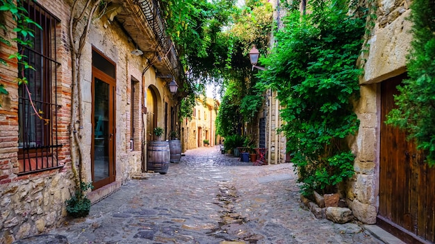 Pittoresk steegje vol groene wijnstokken die bogen maken tussen de muren in Peratallada Girona, Spanje