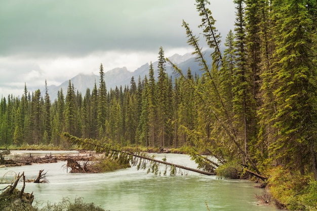 Pittoresk uitzicht op de bergen in de Canadese Rockies