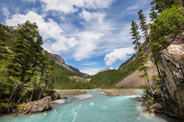 Pittoresk uitzicht op de bergen in de Canadese Rockies