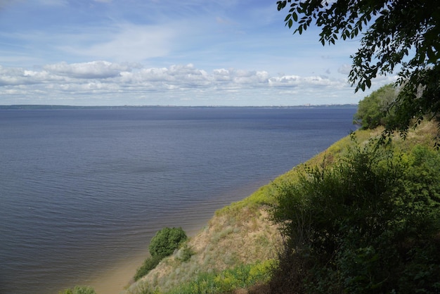 Pittoresk zomerlandschap met boom en kruiden aan de Wolga-kust Ulyanovsk