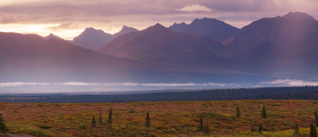 Pittoreske bergen van Alaska in de herfst Met sneeuw bedekte massieven gletsjers en rotsachtige toppen sinaasappelbomen Mooie natuurlijke achtergrond